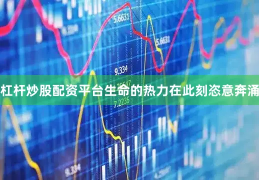 杠杆炒股配资平台生命的热力在此刻恣意奔涌