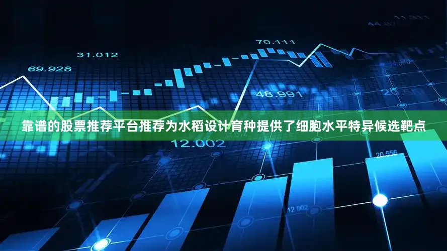 靠谱的股票推荐平台推荐为水稻设计育种提供了细胞水平特异候选靶点