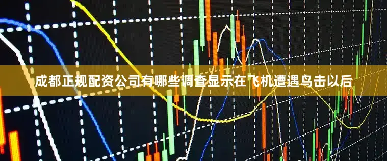 成都正规配资公司有哪些调查显示在飞机遭遇鸟击以后