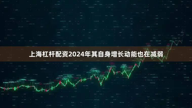 上海杠杆配资2024年其自身增长动能也在减弱