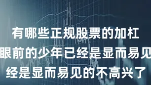 有哪些正规股票的加杠杆平台而眼前的少年已经是显而易见的不高兴了