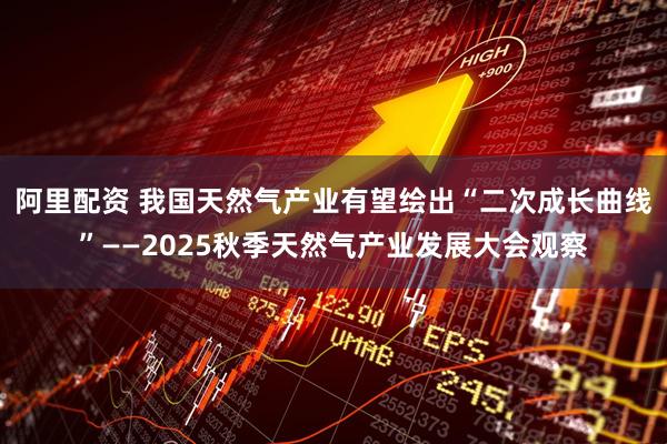 阿里配资 我国天然气产业有望绘出“二次成长曲线”——2025秋季天然气产业发展大会观察
