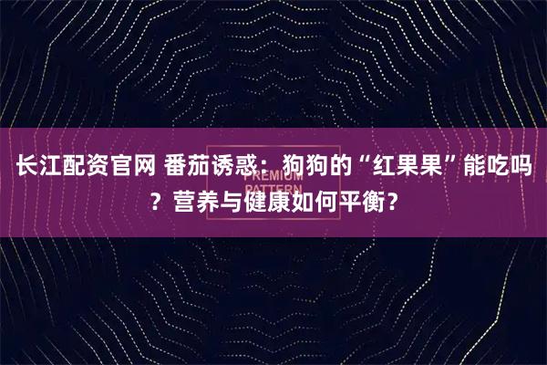 长江配资官网 番茄诱惑：狗狗的“红果果”能吃吗？营养与健康如何平衡？
